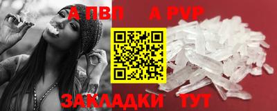 спиды Гай