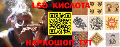 спиды Гай