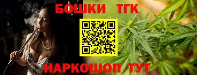 мдпв Сланцы