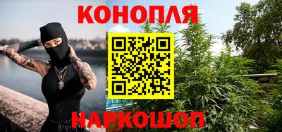 спиды Гай