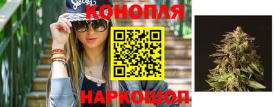 спиды Гай