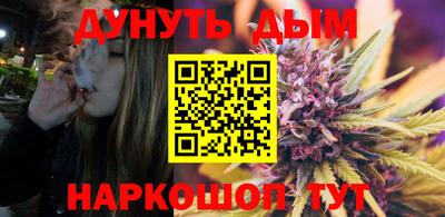 спиды Гай