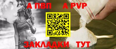 спиды Гай