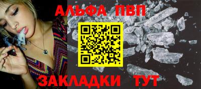 спиды Гай