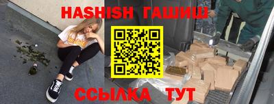 спиды Гай