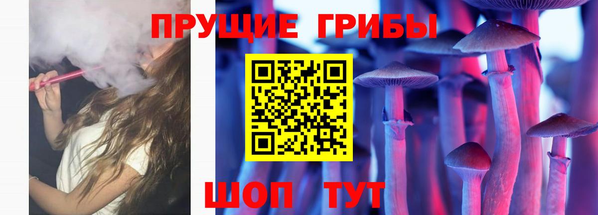 Новоалександровск  Псилоцибиновые грибы ЛСД  Вход с VPN  Псилоцибиновые грибы Cubensis 